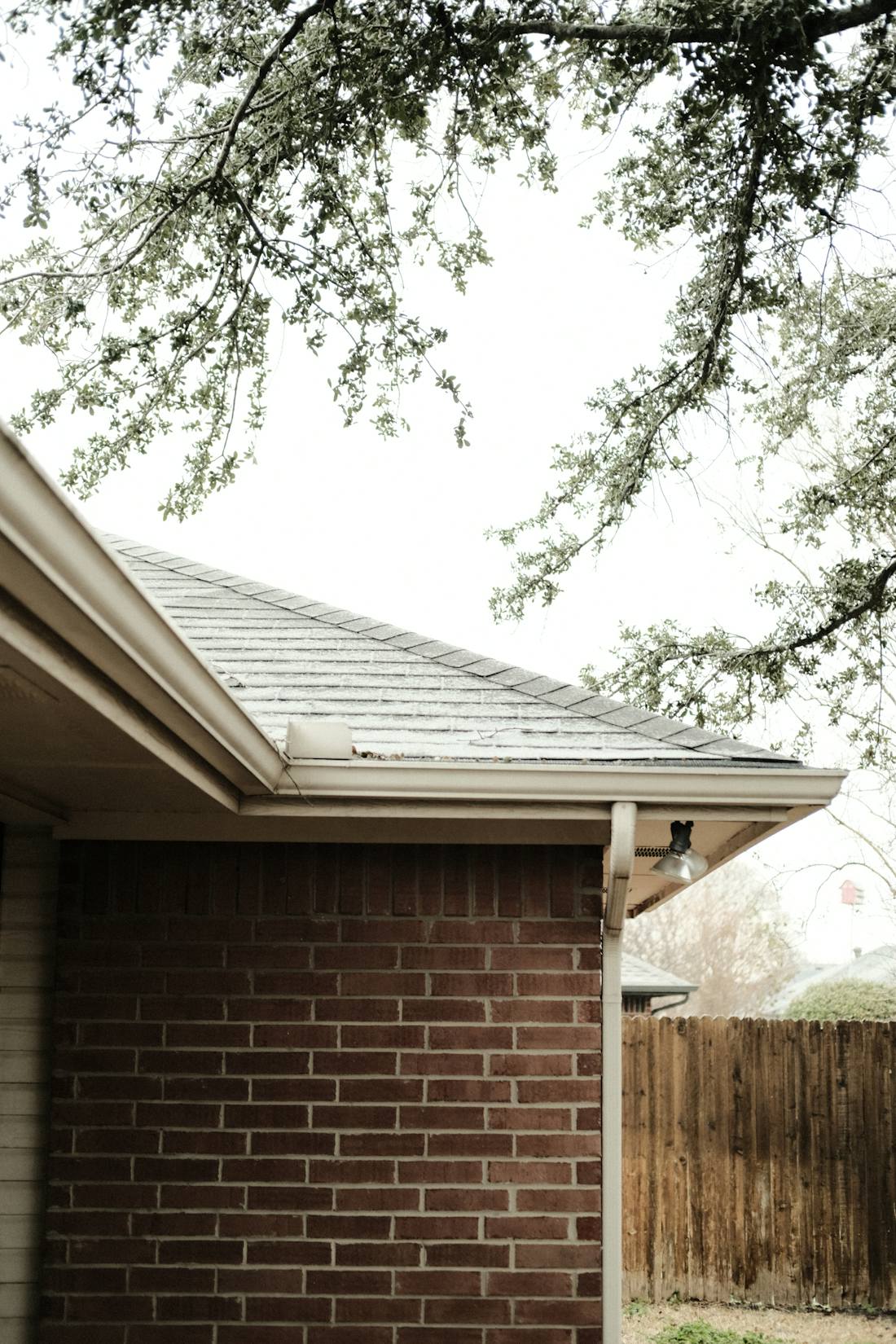 Brick house with a large tree directly in front of it, the canopy route roof rats use to reach the roofline